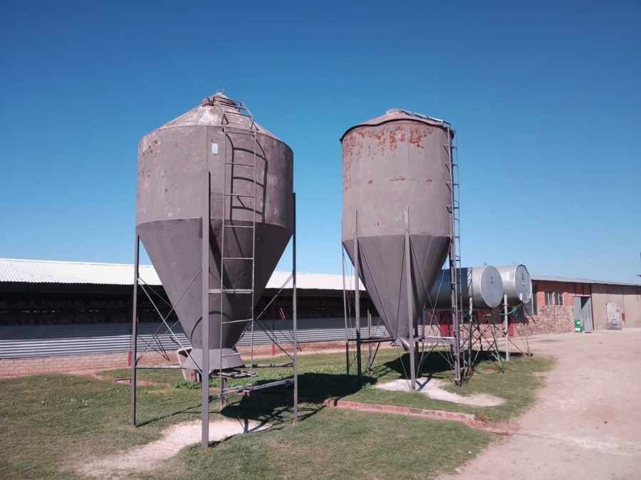 4 Bedroom Property for Sale in Bultfontein Free State